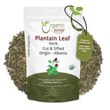 Plantain Leaf Cut and Sifted | European Wild-Harvest | Kosher Certified | Non GMO & USDA Certified