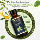 Citronella Essential Oil for Diffusers | Natural Aroma Oil for Home Fragrance, Humidifier & DIY Candle Making, Long Lasting Scent for Office, Bedroom & Soothing Scent 4 Fl Oz (120 mL)