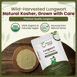 Natural Lungwort Herb Powder (Pulmonaria Officinalis) - Herbal Tea | Kosher Certified | Raw, Vegan, Non GMO & Gluten Free | USDA Certified | Origin - Albania
