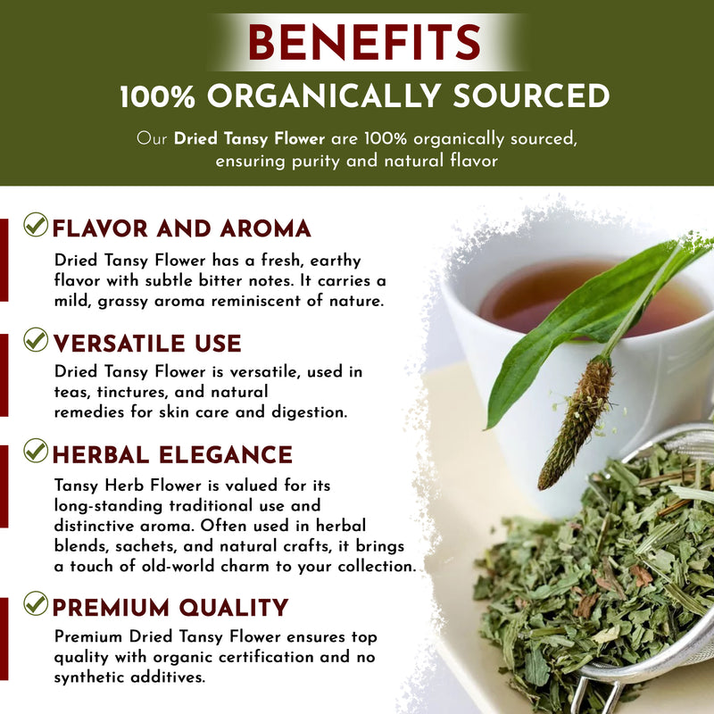 Organic Way Dried Tansy Flower Herb Tea | Origin - Albania