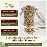 Dried Angelica Root Cut & Sifted - Herbal Tea - Origin Albania