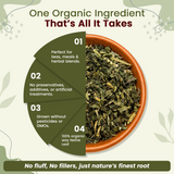 Stinging Nettle Leaf Cut & Sifted (Urtica dioica) Herbal Tea - European Wild-Harvest | Kosher Certified | Vegan, Non GMO & Gluten Free | USDA Certified | Origin - Albania