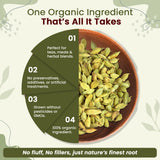 Green Cardamom Whole Pods, Hari Elaichi (Elettaria cardamomum) - Kosher & USDA Certified | Vegan, Non-GMO & Gluten Free | Resealable Bag | Adds Flavour | 100% Raw from India