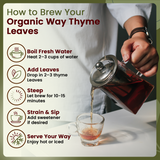 Organic Way Thyme Leaves Whole - Herbal Tea - Origin Egypt