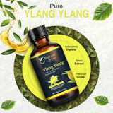 Ylang Ylang Essential Oil for Diffusers | Natural Aroma Oil for Home Fragrance, Humidifier & DIY Candle Making, Long Lasting Scent for Office, Bedroom & Soothing Scent 4 Fl Oz (120 mL)
