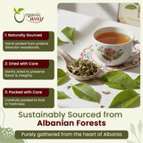Plantain Leaf Cut and Sifted | European Wild-Harvest | Kosher Certified | Non GMO & USDA Certified