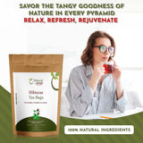 Hibiscus Tea Bags |  Herbal Blend for Natural Cleansing & Balanced Lifestyle | Herbal Slimming Pyramid Tea Bags | Caffeine Free 100% Natural Ingredients | ECO Conscious Tea Bags | 9 Oz (Pack of 100)