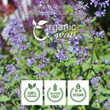 Catnip Leaf and Flower Cut & Sifted (Nepeta cataria) - Herbal Tea | European Wild-Harvest | Kosher & USDA Certified | Vegan, Non-GMO & Gluten Free | 100% Raw from Albania