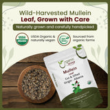 Mullein Leaf Cut & Sifted (Verbascum thapsus) Herbal Tea  - European Wild-Harvest | Kosher Certified | Non GMO & USDA Certified | Origin - Albania