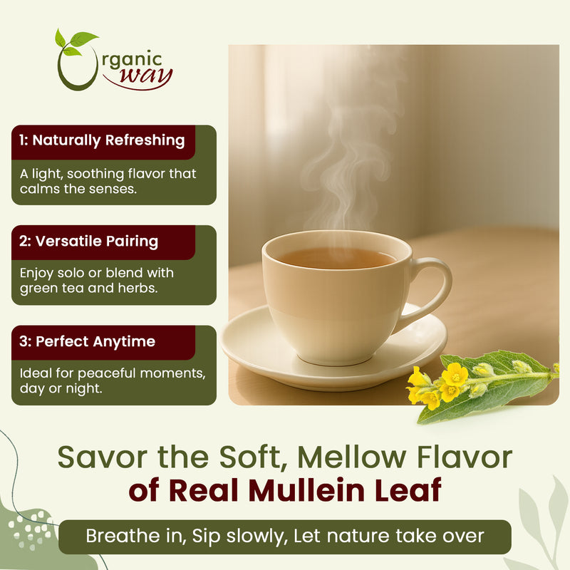 Mullein Leaf Cut & Sifted (Verbascum thapsus) Herbal Tea  - European Wild-Harvest | Kosher Certified | Non GMO & USDA Certified | Origin - Albania