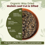 Mullein Leaf Cut & Sifted (Verbascum thapsus) Herbal Tea  - European Wild-Harvest | Kosher Certified | Non GMO & USDA Certified | Origin - Albania