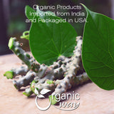 Organic Way Premium Grade Guduchi Powder (Tinospora cordifolia) - Organic & Kosher Certified | Raw, Vegan, Non GMO & Gluten Free | USDA Certified | Origin - India